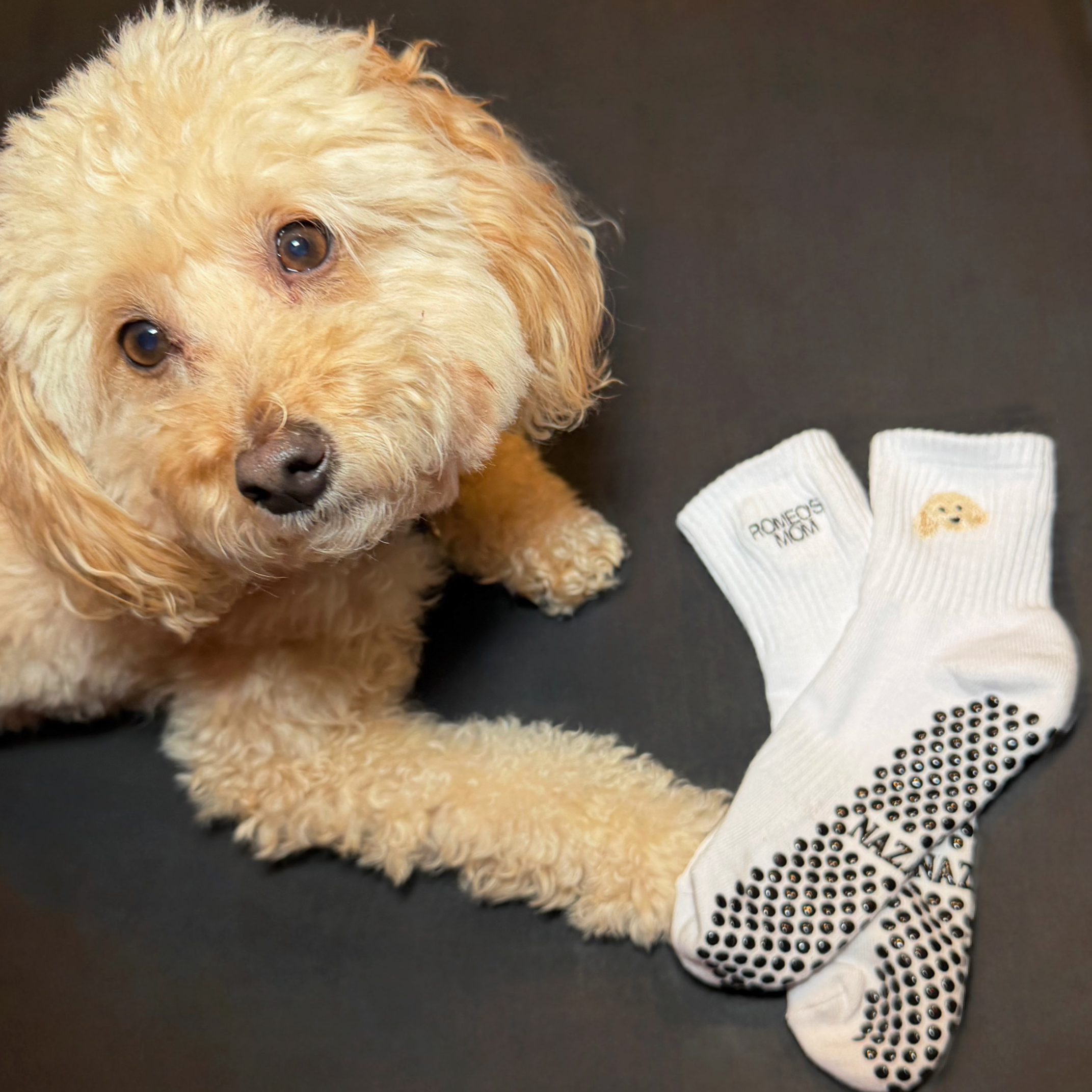 CUSTOM PET SOCKS